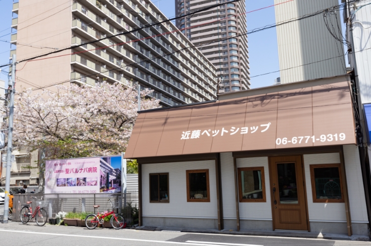 ご来店・カウンセリング